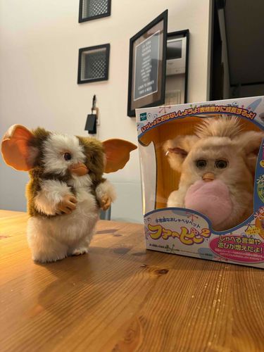 やっと巡り会えた！