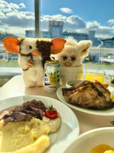 こんな食べるの‥
