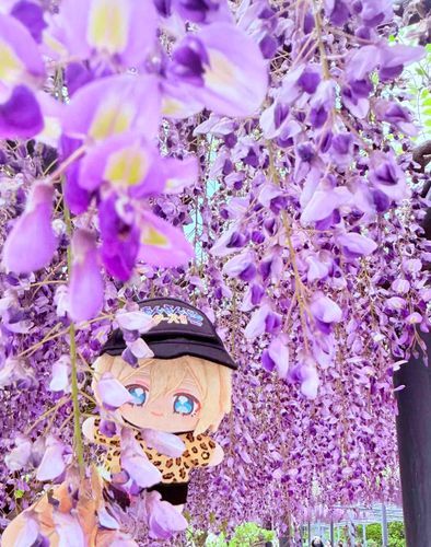 みごとな ふじだな