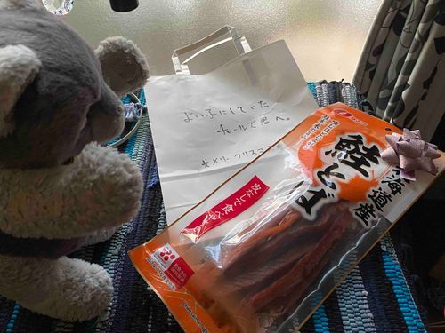 わぁぁぁ！！✨️
鮭とばだ！！

サンタさん、ありがとう！！