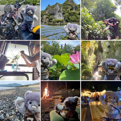 やぁみんな！チャールズだよ！

僕たちはこの1年、色んな所に行ったんだ。
ご主人がバイクを買って、僕の座席を作ってくれて、一緒に色んな所に行った🏍

朝急に「ネモフィラ畑が見たい！」て2時間走ったり、季節ごとに植物公園に行って色んな花を見たり

秋にはキャンプも始めたよ🍁🏕

ご主人は
「俺に連れ回されて大変だろ？」て言ってたけど、僕はきっと、とても貴重な体験をしているんだと思う✨

ご主人と暮らして1年半になるけど
僕、ご主人のお家に来れて良かったと思ってる✨

初めは怖い人だと思ったんだけどね💦
ご主人ヤンキーみたいだし💦

来年も、色んな所に行こうね、ご主人！
