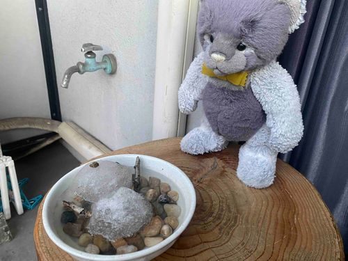 雪だるま、溶けちゃった…

また会えるといいなぁ。