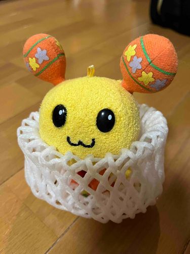 パリオリンピックにちなんで、ルイ・ウータン一世になっちゃった