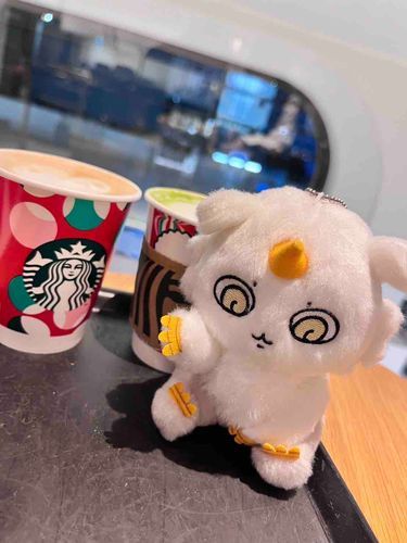 夜のお茶をしませんか？