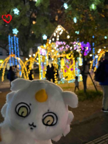 イルミネーションの季節💕