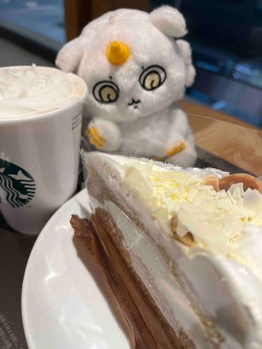 夜のお茶はいかが？