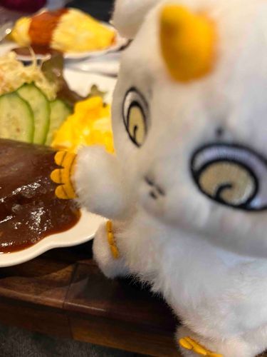 今日のランチだよ