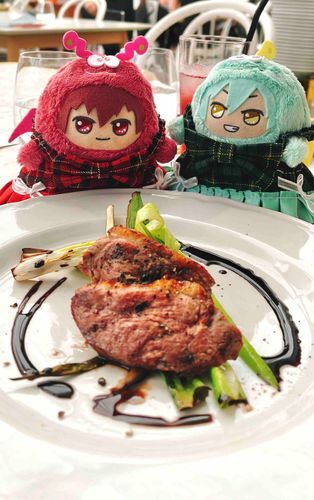 もんとま🐶「主と一緒にはじめてコース料理を食べてきたぞ！この鴨肉と九条ネギがとっても美味しかった🥹✨」
もんはる🐗「おしゃれなお料理いっぱいだった！どれも美味しかったね🍀」