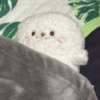 ワッフル