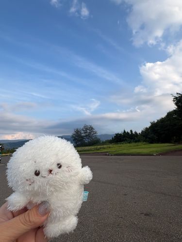 ちょっとだけ 主といっしょに おでかけしたよ