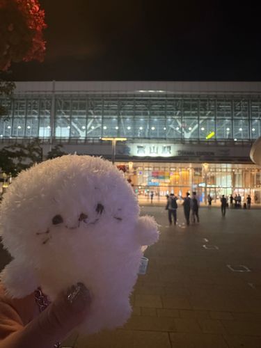 このあいだ 主がおしごとで
とやまけんにいくっていうから
ついてったんだあ！！

おいしいもの いっぱいだった…♡