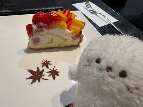 このまえ 主とケーキたべた！
いちごすっぱかったけど
マンゴーあまくって さいこうだった✨
