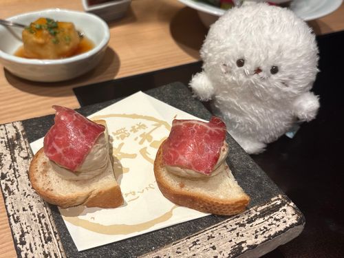 きのうは 「なごや」までいってきたよ！