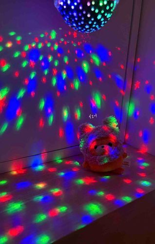 ｶﾎﾞﾁｬのダンスだ！