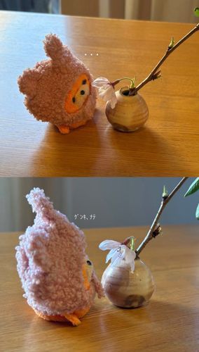 桜ちょっと下向いてるね😢