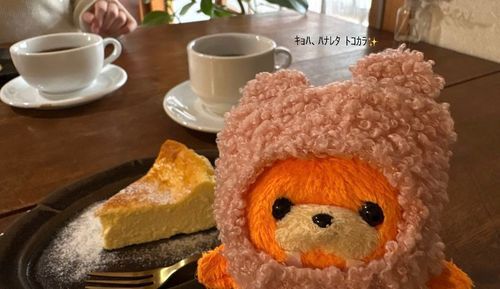 チーズケーキを紹介してくれてるみたいに見えるよ🫢