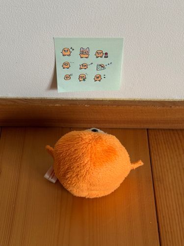 ｶﾎﾞﾁｬ気に入ってくれたかな