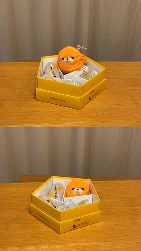 あら、収まりがいいわね^ ^