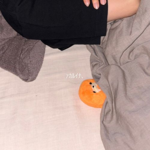 飼い主と眠りにつくｶﾎﾞﾁｬ🍊💤