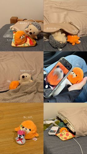 しばらく投稿できてませんでしたがｶﾎﾞﾁｬは元気にしてました🍊✨️
