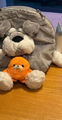 足浮いてるね🍊
抱っこしてくれてるシュナウザーはお弁当袋です🎶