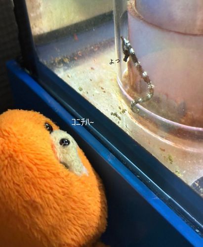 挨拶えらいね