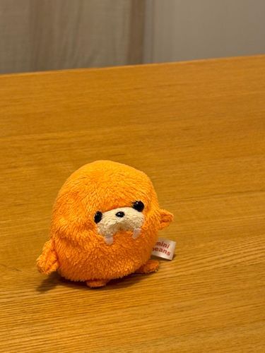 早く帰ってｶﾎﾞﾁｬに会いたいな…