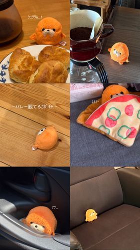 気がついたら最後の投稿から2週間経ってた…ｶﾎﾞﾁｬは元気にしてました🍊
