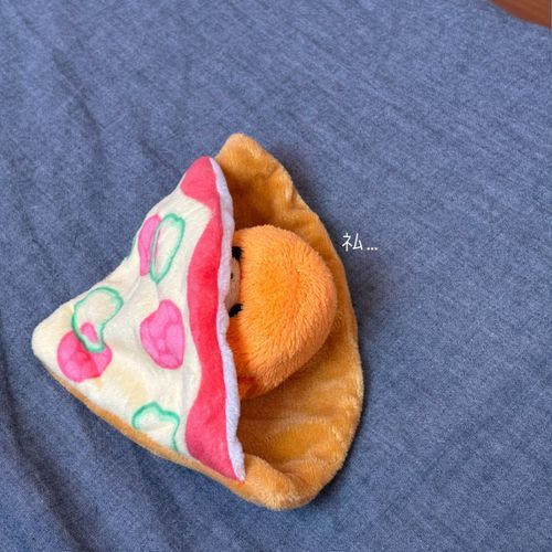 ｶﾎﾞﾁｬ起きて！もう10時だよ！