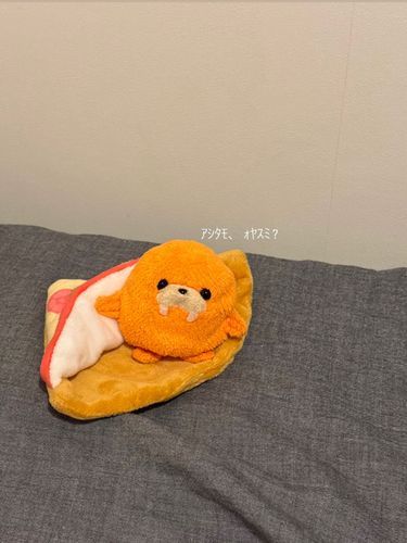 だと良かったんだけどね…