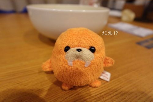 デジカメでパシャリ📸
まんまるフォルム🍊