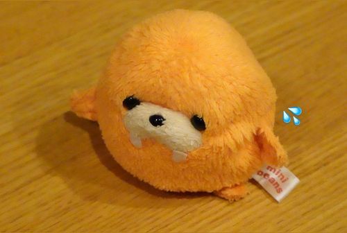 見つめられて困惑するｶﾎﾞﾁｬ🍊💦
