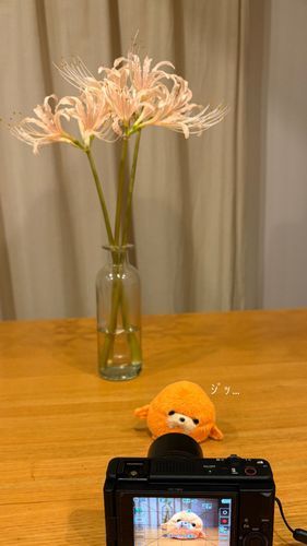 まだデジカメに慣れないね