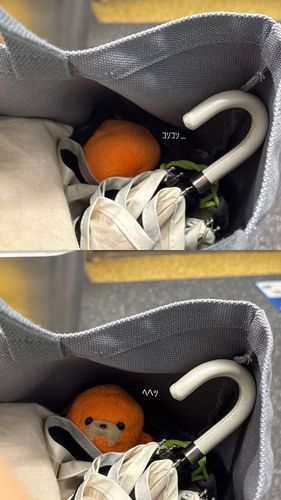 着いてきたの…！！