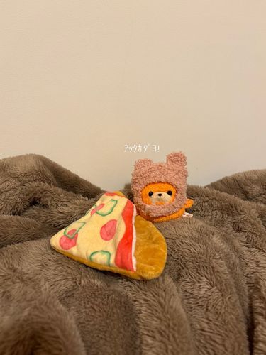 衣替えを済ませたｶﾎﾞﾁｬ🍊
あったかピザ布団いいね✨️