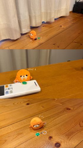 ｶﾒさん小さくて可愛いね🍊💕🐢