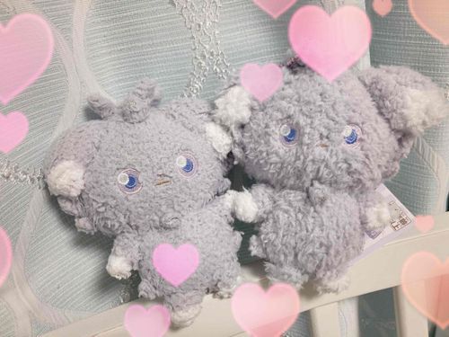 新しく、小さき命をお迎えしました💕💕💕💕