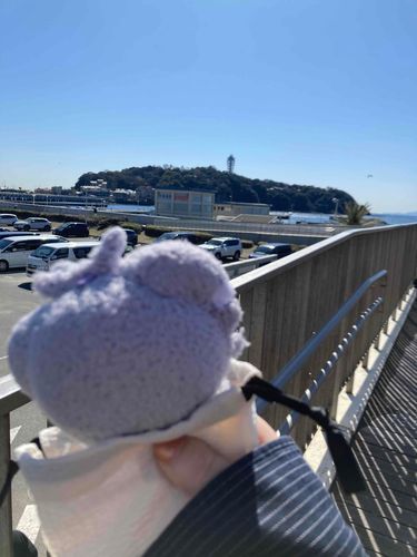 ニャスパーと旅行中✈️𓂃𓈒𓏸︎︎︎︎