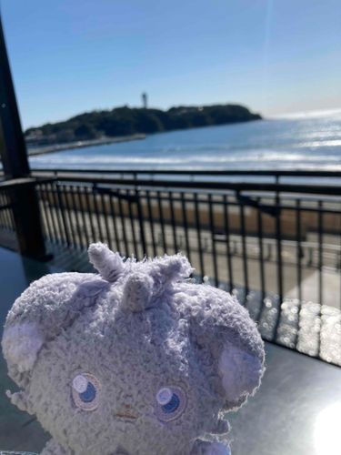 日向ぼっこ🌞