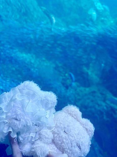 水族館キラキラ✨✨