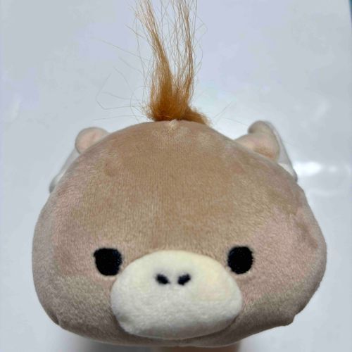 新入りのろばちーです。
よろちくねぇ〜