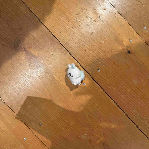 主に落とされた