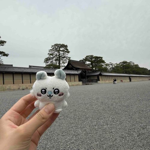 京都きた！