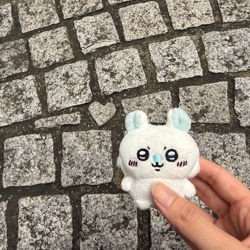 ❤︎