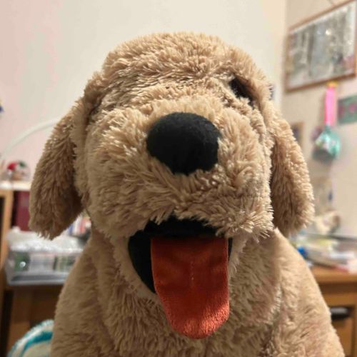 ぱかぱか