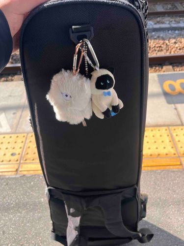 まちのぞんだ おでかけ

しろめとくろめ
