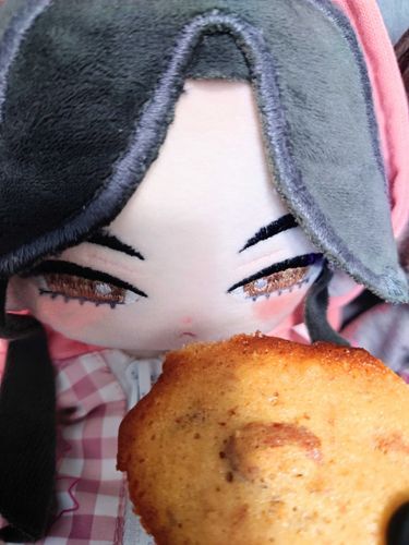 主がクロッカンなるものを作ってくれた。
アーモンド、くるみに味噌が入っているらしい。
む……不思議な食感だ。
さくさくでフワフワしている。
甘じょっぱいのがくせになる味だ。