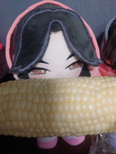 とても大きなとうもろこしをもらった🌽甘くてうまい……。
しゅえもんや、しーみんじんにも食べさせてあげたい。

もーらん、2人に届けてやってくれ。