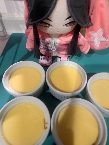 主がぷりん🍮を作ってくれた。
しかし食べられるのは明日らしい……。
……
………
……
少しくらいなら……バレないか？