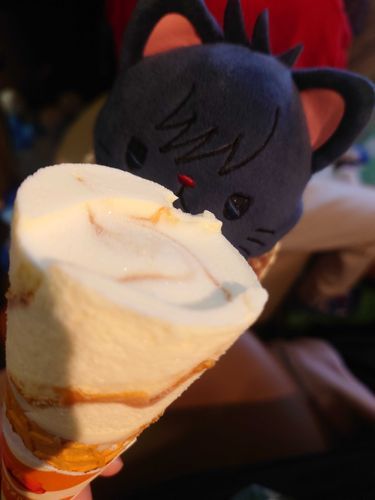 大好きなアイスクリームです！
でもご飯やさんがしまってました。